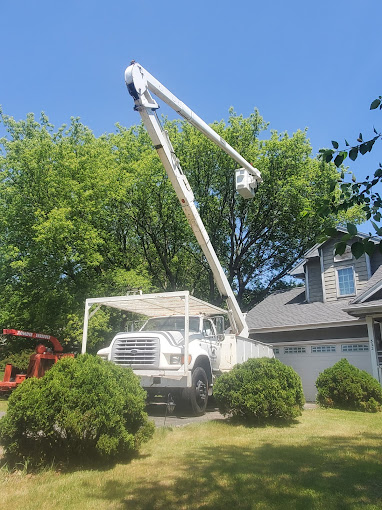 Eco-Friendly Practices in Tree Removal Services